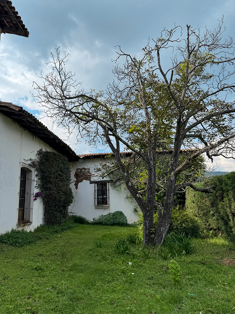 Estructura principal de la hacienda